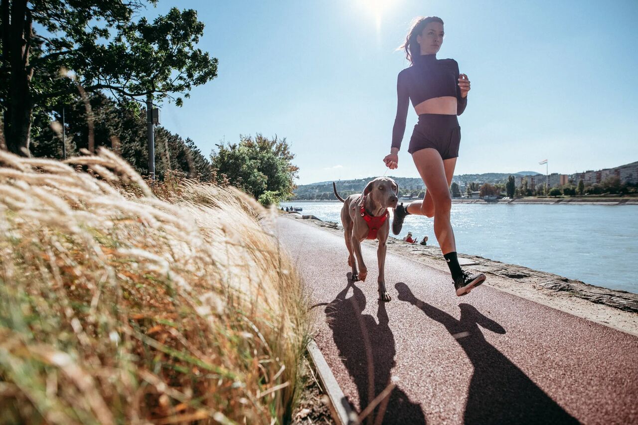 Girl running with a vizsla wearing an orange PEIKO® QuickLeash™ harness in the city