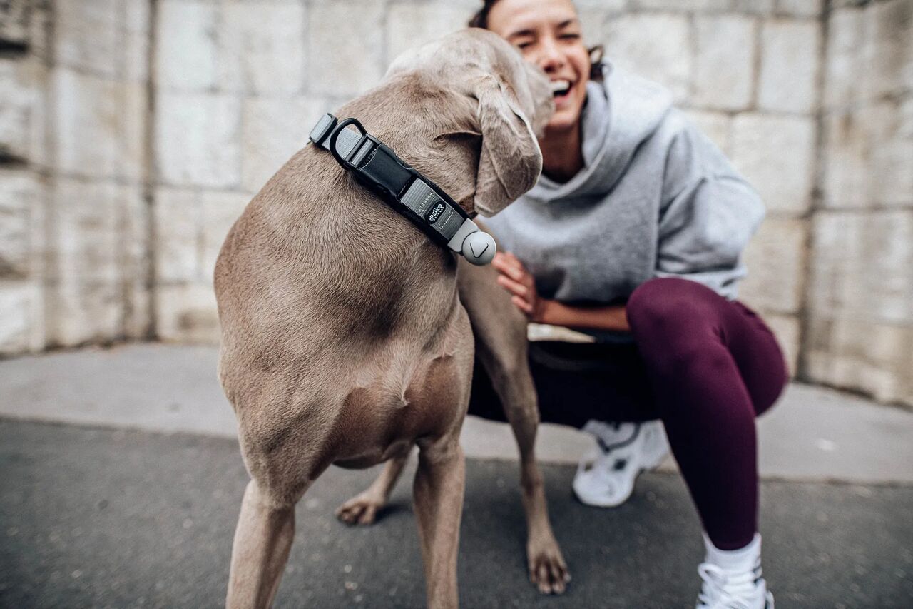 Girl with a vizsla wearing a gray PEIKO® QuickLeash™ collar in the city