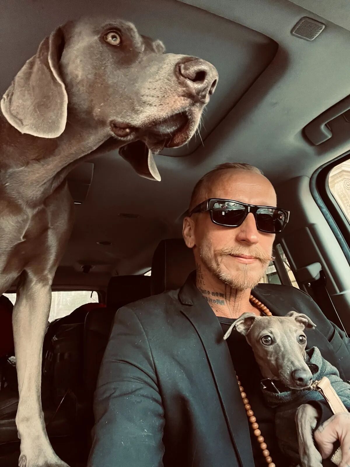 Guy in sunglasses with 2 dogs in the car