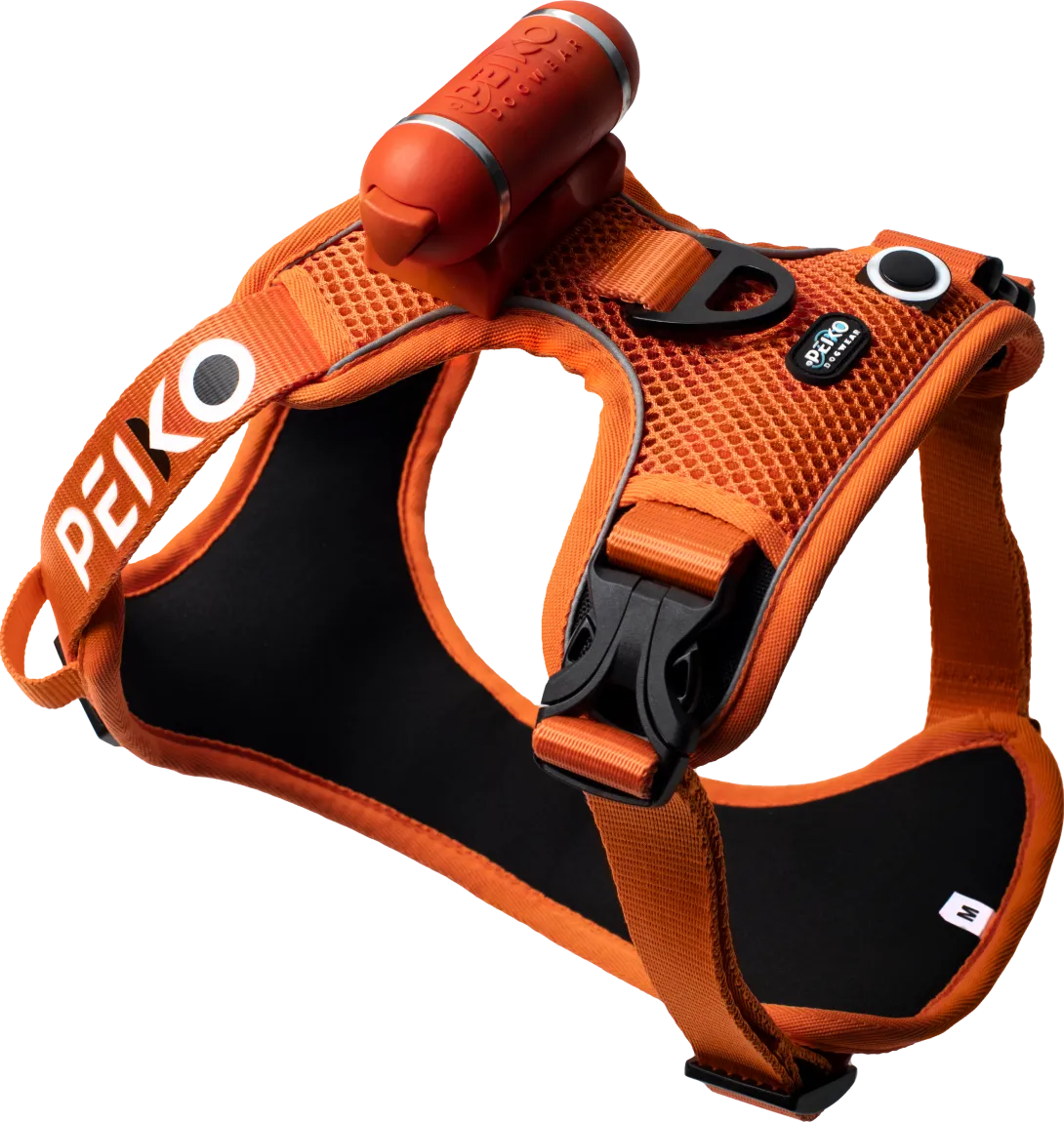 PEIKO® QuickLeash™ Harness - Orange / M
